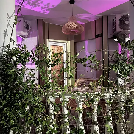 Apartment Osik 01